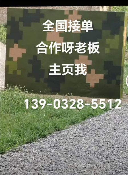 菏泽专业迷彩漆施工：围墙防护数码漆